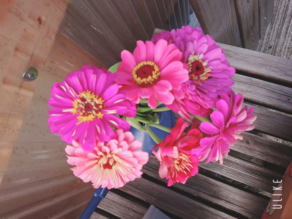 beauty_20200720075926